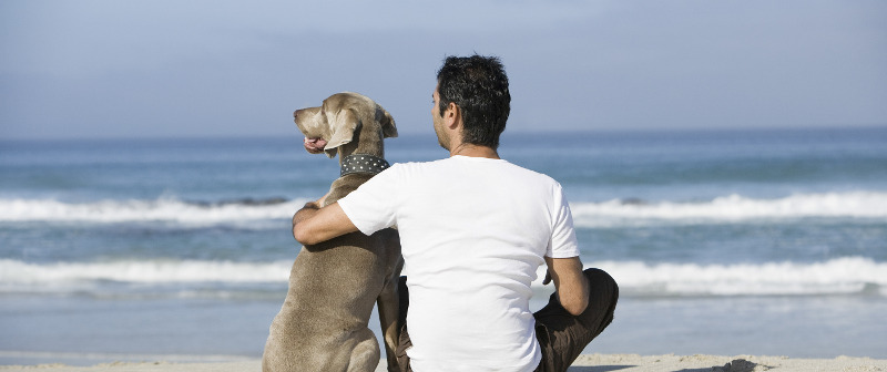 dog and owner contemplating the meaning of life on beachfront